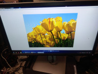Dell P2214HB 22" Widescreen LCD Flat Panel Monitor