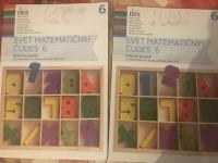 Delovni zvezek MATEMATIKA 6, Svet matematičnih čudes 6, 1. in 2.del