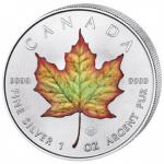 Canada 1 oz srebrnik MAPLE LEAF 2021 BARVNI/COLOURED (trezor)
