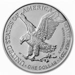Srebrnik 1 oz American Silver Eagle 2021 TIP 2 (trezor)