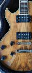 Električna levičarska kitara ALDEN Blue Rock Custom LP EMG