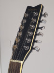 Washburn 12 strunska Elektroakustična kitara EA20 MB-12