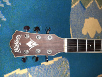 Washburn WD 10 NS akustična kitara