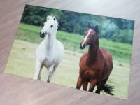 Plastificiran plakat dveh konjev, dimenzija 85x130 cm
