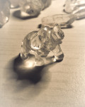 Slonček (kristal -kamena strela)