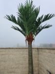 Prodam novo in atraktivno umetno palmo- 4m- za zunanjo uporabo