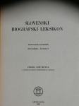 Slovenski biografski leksikon - 15.zvezek
