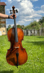 Celinski mojstrski violončelo.