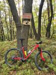 Canyon Exceed MTB hardtail kolo - Velikost L