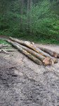 bukova drva bukovi hlodi