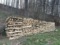 Bukova drva in mešana drva
