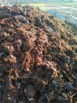 Konjski gnoj, fige, uležan, kompostiran