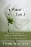 It Wasn't Your Fault: Freeing Yourself from the Shame of Childhood A..