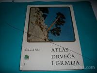 Knjiga ATLAS DRVEĆA I GRMLJA 1