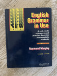 Murphy Raymond, English grammar in use