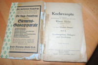Kuharski recepti Kochrezepte Wiener Kuche letnik 1924