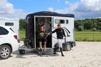 CHEVAL LIBERTE GOLD TOURING COUNTRY