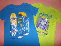 Majici kr.r. Skate in Dinosaur, št. 158 (1x oblečeni, obe 12 eur)