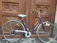 Mestno žensko kolo