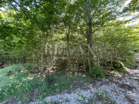 Bribir - zazidljivo zemljišče v gozdnem okolju