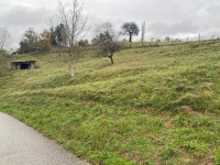 Hrastovec v Slov. Goricah, kmetijsko zemljišče prodam, 2113 m2