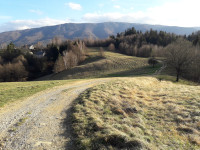 Laznica, Limbuš, Maribor 1.244 m2 kmetijsko zemljišče