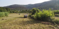 Osp in Črni kal, kmetijsko zemljišče (5 parcel) skupaj 2638 m2