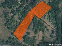 Zemljišče // Kmetijsko zemljišče - Črniče, 26.000,00 €