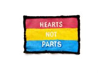 Našitek "hearts not parts", barve panseksualne zastave