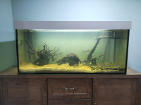 Akvarij za ribe 300 l z dodatki