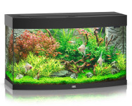 Juwel  akvarij Vision 180 lit. črn