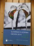 Slovenija v ledenih okovih 2014-ŽLED (3)