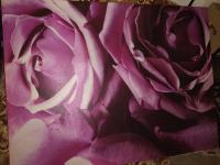 stenska slika na platnu motiv  vrtnice mere 80x60 cm