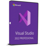 Microsoft Visual Studio 2022 Professional Licence