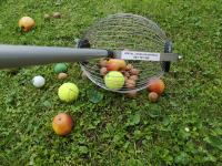 Pobiralec sadja , orehov in teniških žogic