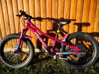 Specialized Riprock 20 col