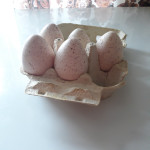 Prodam valilna jajca puranov,ter pretlikavih holandskih/šabo kokoši;)