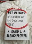 NOT WORKING WHERE HAVE ALL THE GOOD JOBS GONE DAVID G. BLACHFLOWER