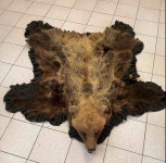 Medvedja koža