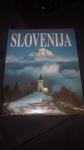 Slovenija: Stane Stanič