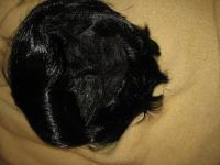 Črna lasulja-paž, novo