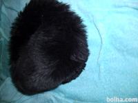 Lasulja-črni kratki lasje, vel UNI, odrasli
