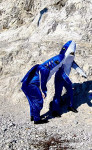 Pustni kostum - morski pes