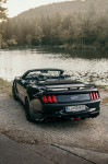 FORD MUSTANG GT 5.0 SHELBY EDITION