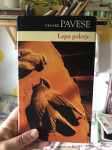 Cesare Pavese: Lepo poletje