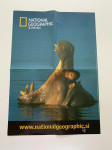 Plakat National Geographic Slovenija : NILSKI KONJ