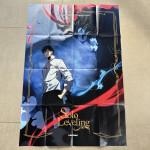 XXL plakat MANGA Solo Leveling poster Dubu Redice Studio Japan - NOVO