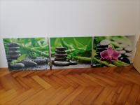 Slike Bambus  Orhideja