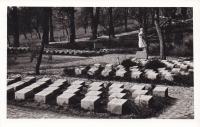 BEGUNJE NA GORENJSKEM 1962 - Pokopališče