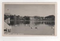 BLED 1939 - Park Hotel, labodi na jezeru